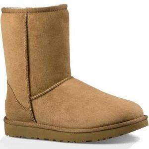 Classic Short Ugg in Chestnut